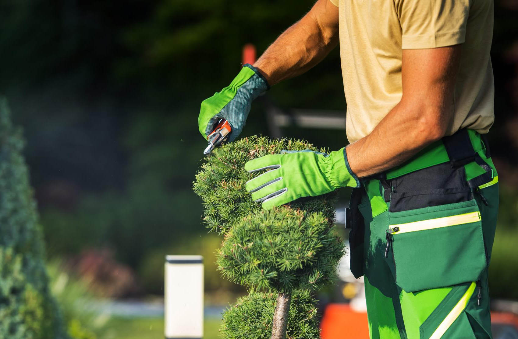 H Perssons Villa, Mark & Trädgård AB