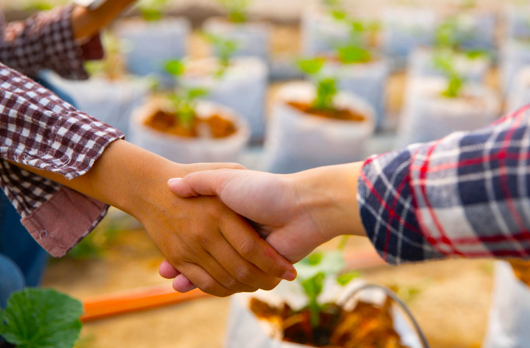 H Perssons Villa, Mark & Trädgård AB